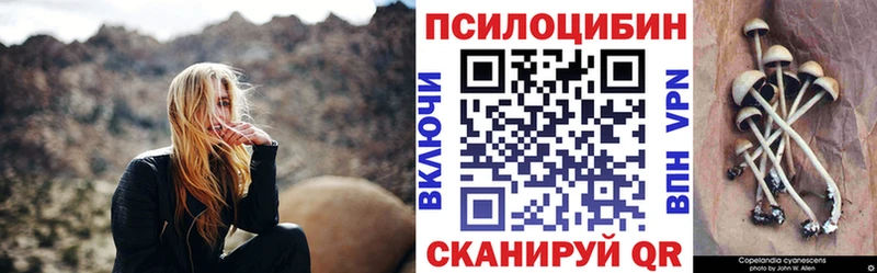 блэк спрут tor  Ейск  Псилоцибиновые грибы GOLDEN TEACHER  даркнет сайт 